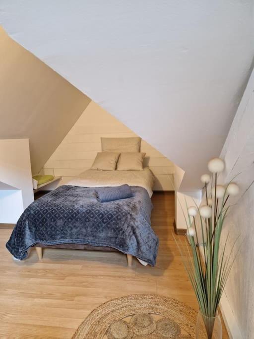 Appartement Le Petit Loft, Mulhouse Centre Extérieur photo