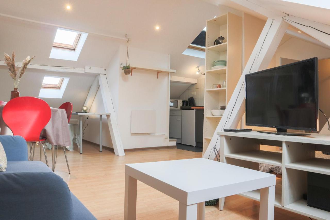 Appartement Le Petit Loft, Mulhouse Centre Extérieur photo