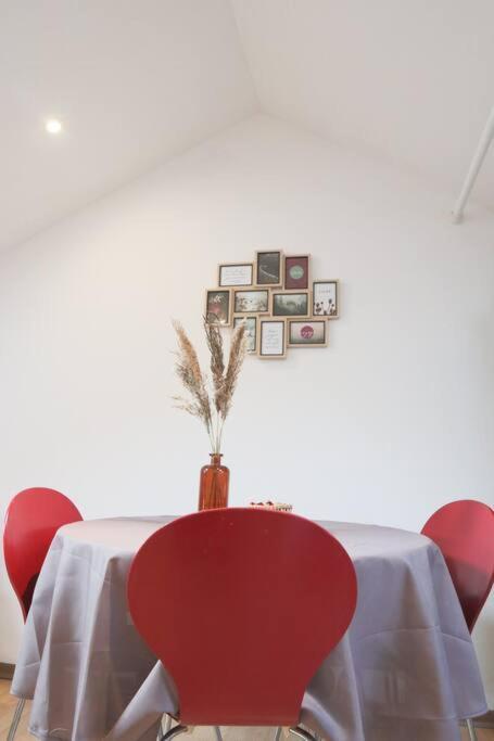 Appartement Le Petit Loft, Mulhouse Centre Extérieur photo